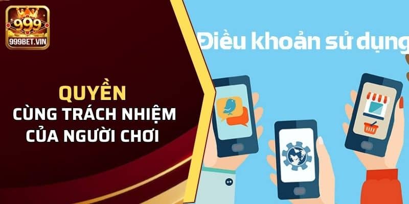 Quyền cùng trách nhiệm của người chơi